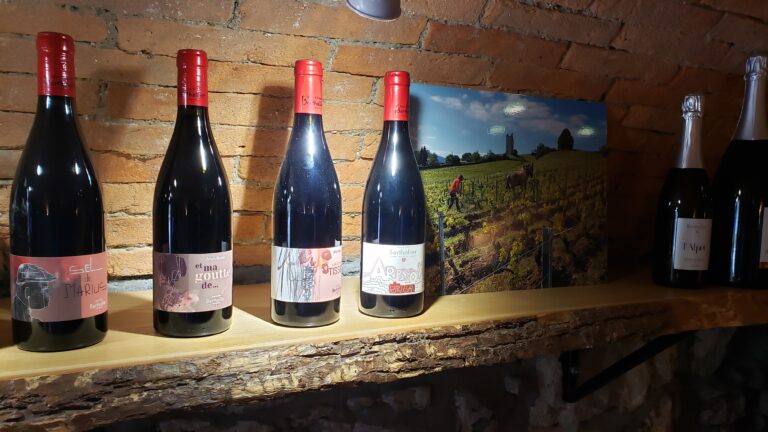 Vélo et Dégustation de Vin de Savoie chez Bertholier