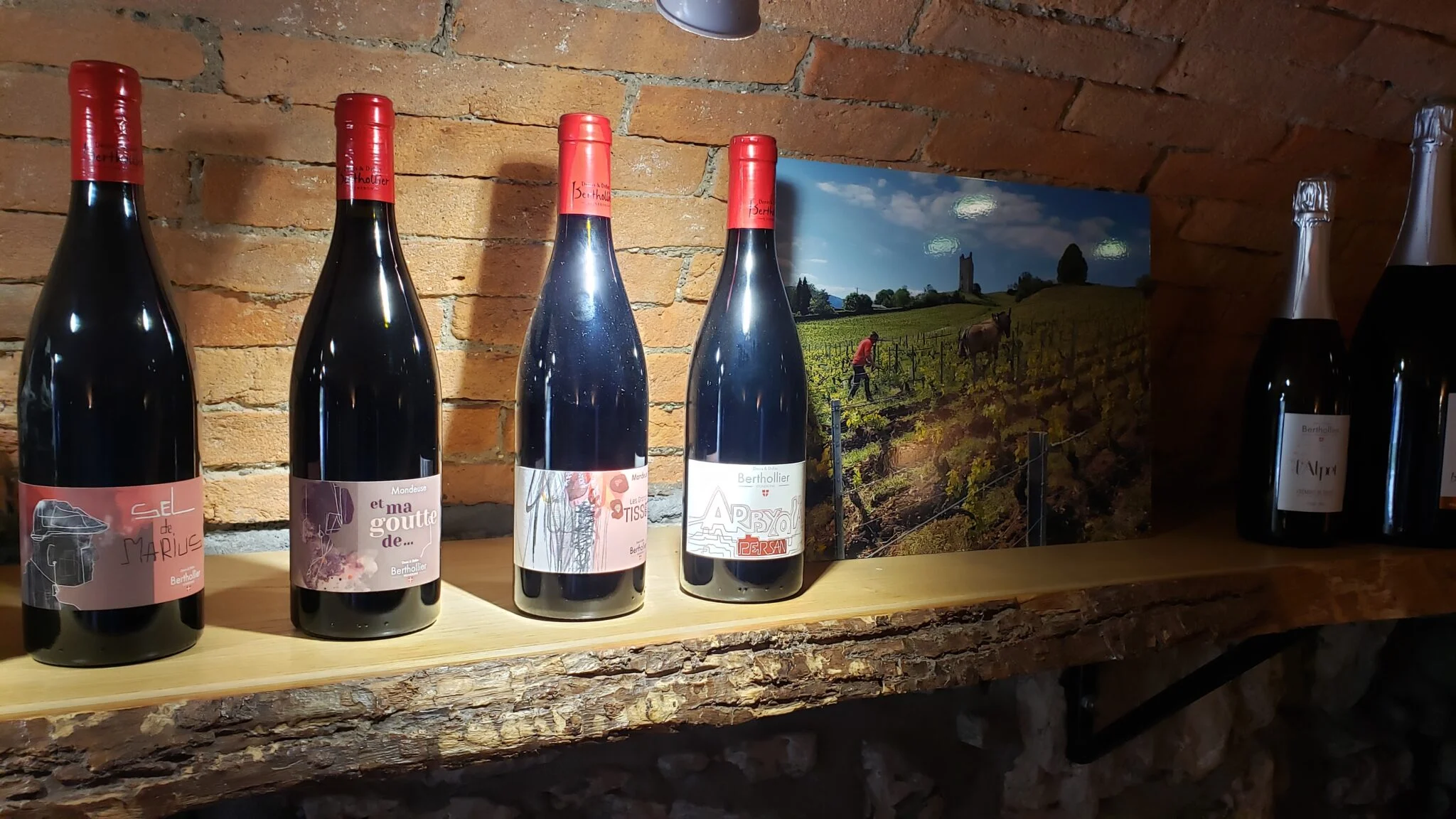 Vélo et Dégustation de Vin de Savoie chez Bertholier