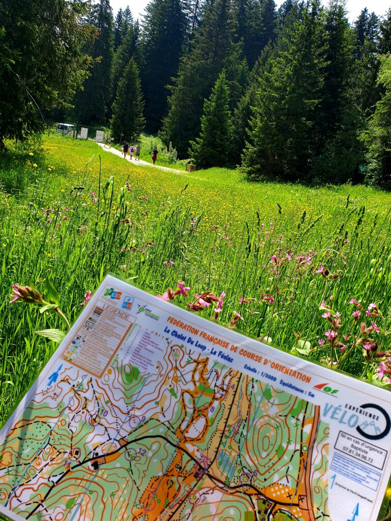 VTT orientation lors d'un Team Building en Savoie