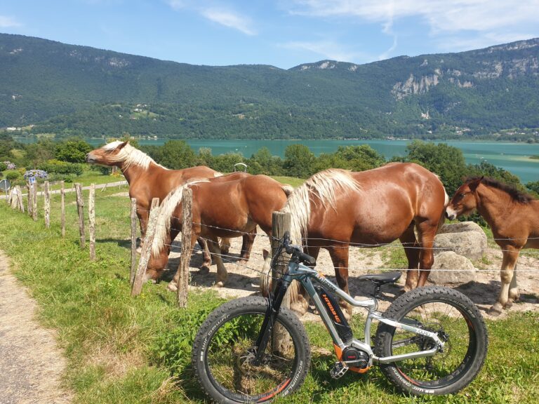 Randonnée vélo et bateau au lac d'AIgueblette
