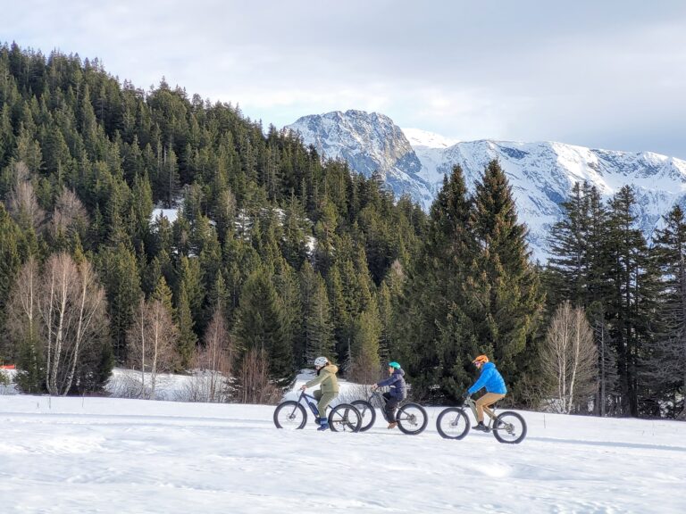 Vtt sur neige au domaine nordique de l'arselle à Chamrousse