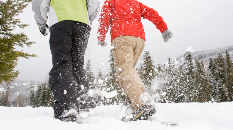 Raquettes à neige La Feclaz