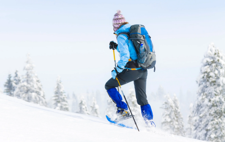 Randonnée guidée en raquettes à neige à La Feclaz