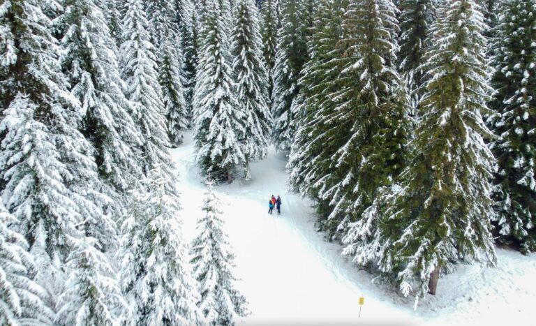 Activité Team building et groupes à Aix les Bains Le revard