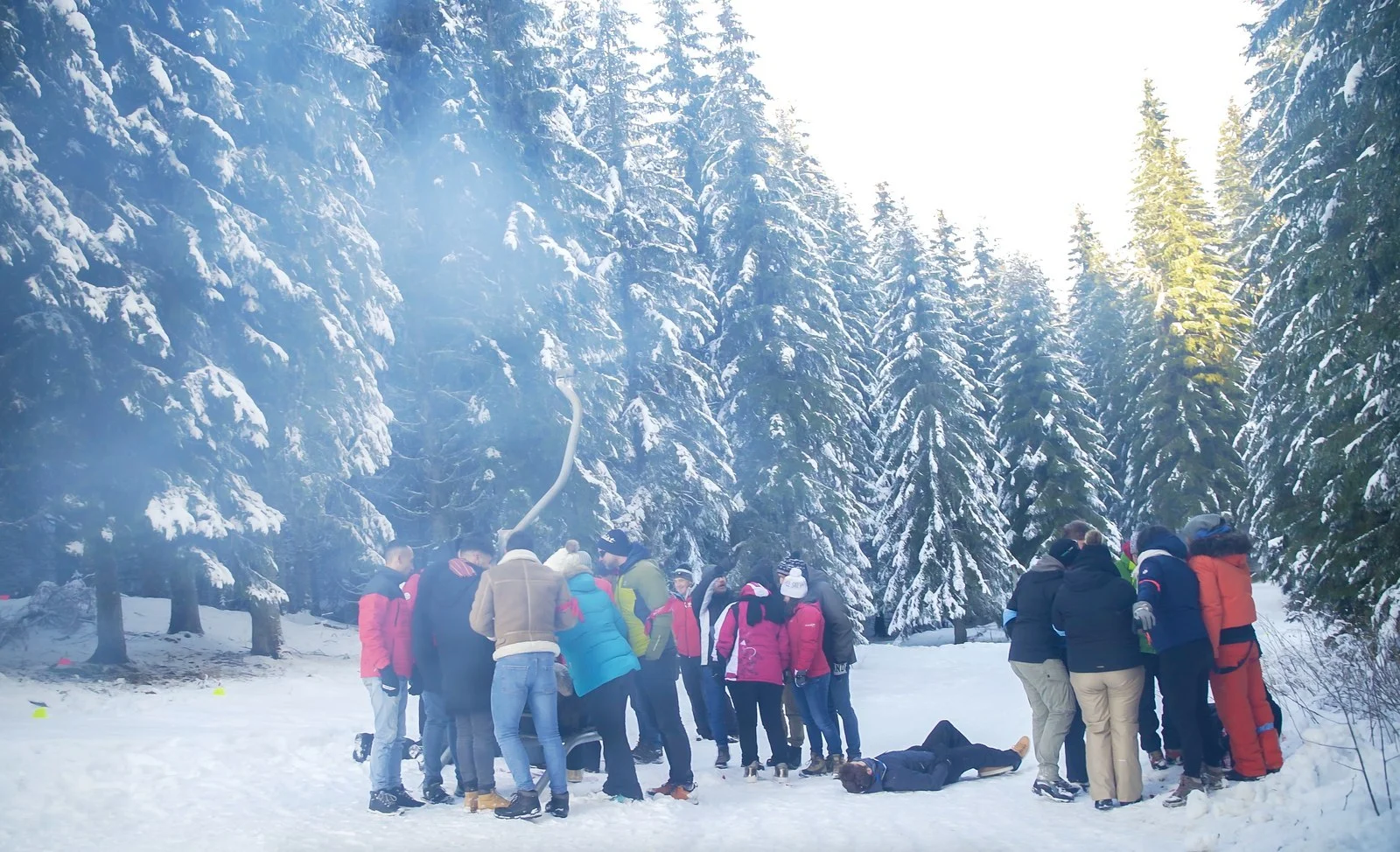 Team building au Chalet du Loup