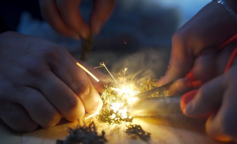 Atelier survie lors d'un jeu immersif à côté d'Aix les Bains